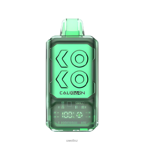 UWELL CALIBURN BAR S12000 DISPOSABLE VAPE | UWELL Vape Disposable Miami Mint L0PHN287