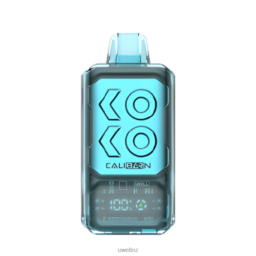 UWELL CALIBURN BAR S12000 DISPOSABLE VAPE | UWELL Vape Disposable Miami Mint L0PHN287