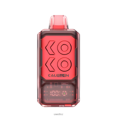 UWELL CALIBURN BAR S12000 DISPOSABLE VAPE | UWELL Vape Disposable Miami Mint L0PHN287