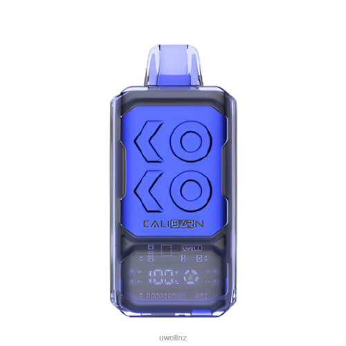UWELL CALIBURN BAR S12000 DISPOSABLE VAPE | UWELL Vape Disposable Miami Mint L0PHN287