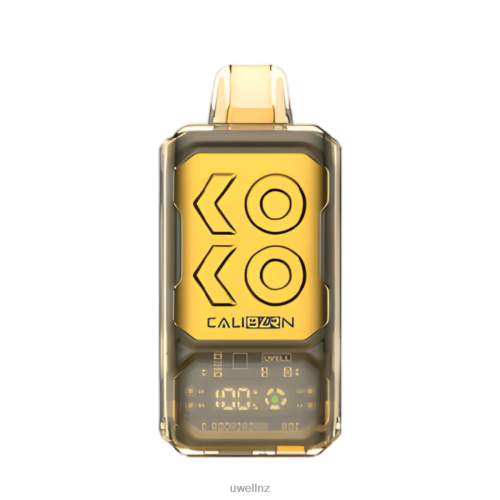 UWELL CALIBURN BAR S12000 DISPOSABLE VAPE | UWELL Vape Disposable Miami Mint L0PHN287