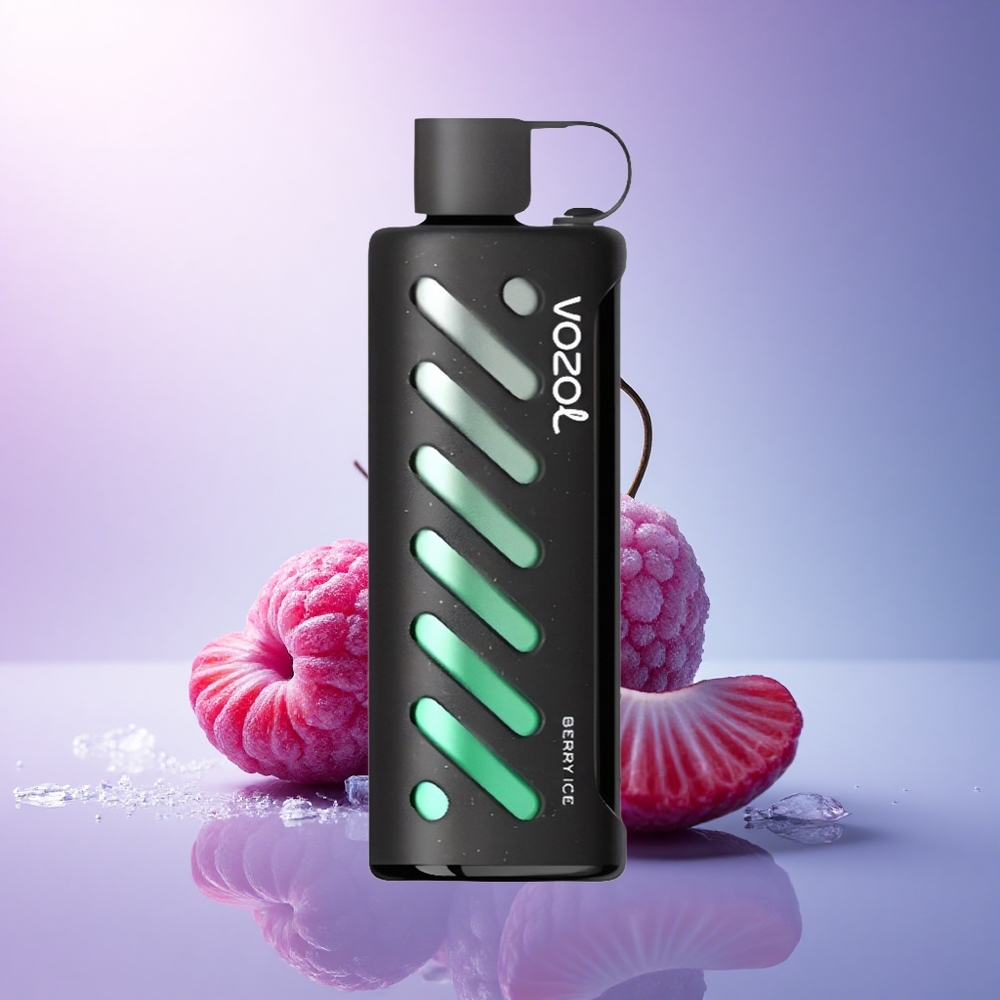 VOZOL Gear Shisha 25000 Puffs Berry Ice Dual Mesh 1000mAh