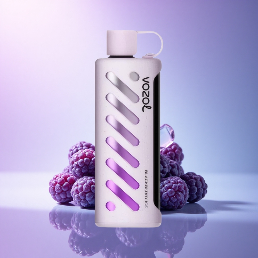 VOZOL Gear Shisha 25000 Puffs Blackberry Ice Dual Mesh 1000mAh 5mg Nicotine