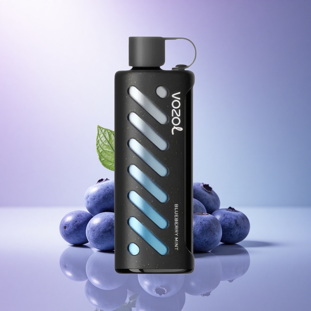 VOZOL Gear Shisha 25000 Puffs Blueberry Mint Dual Mesh 1000mAh