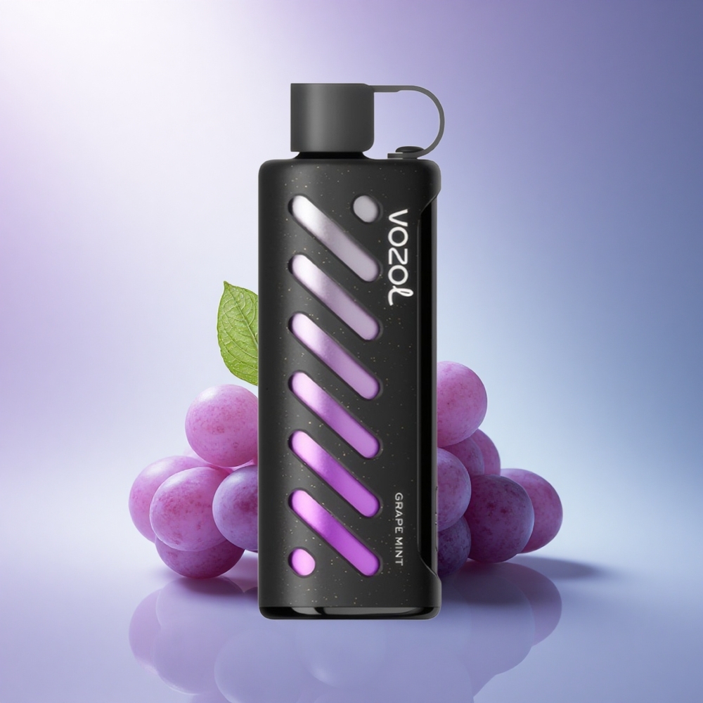 VOZOL Gear Shisha 25000 Puffs Grape Mint Dual Mesh 1000mAh