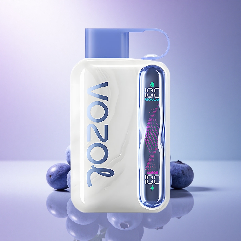 VOZOL STAR 40000 Puffs Blueberry Mint 1000mAh 20mg Nicotine
