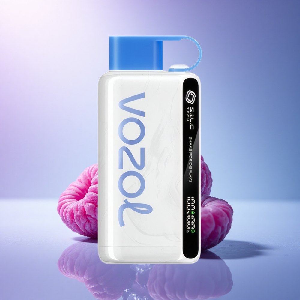 VOZOL STAR 9000/12000 Puffs Blue Razz Ice Recycled 650mAh